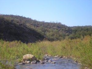 Arivipa Canyon, AZ